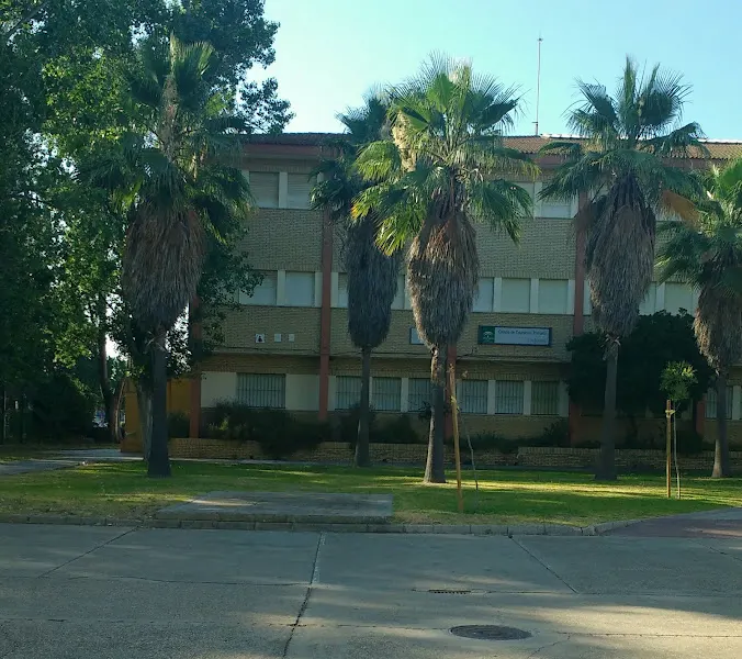 Colegio Público Los Rosales - Colegio público en Huelva - foto 2