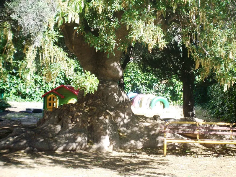 CEEPSIR Escuela SOLC