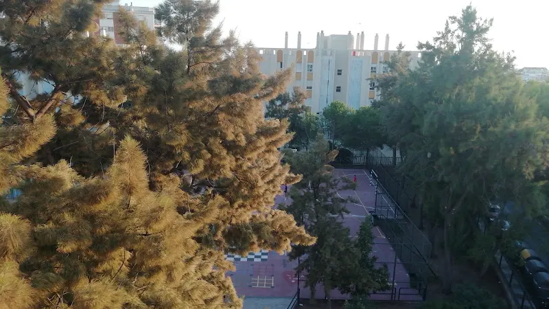 Colegio Público Federico García Lorca - Colegio público en Marbella - foto 2