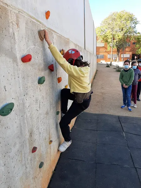 CEIP El Palmarillo