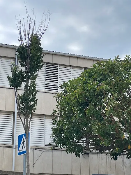 Escuela Rocafonda