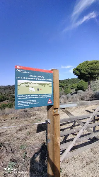 Escuela Pública Sierra de Marina - Colegio público en Santa Coloma de Gramenet - foto 3