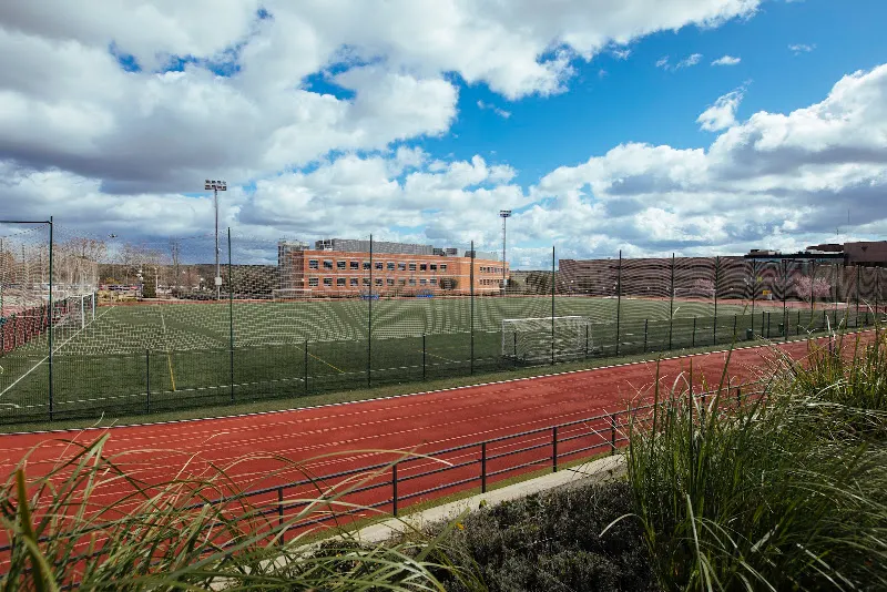 Escuela Universitaria Real Madrid Universidad Europea - Alcobendas