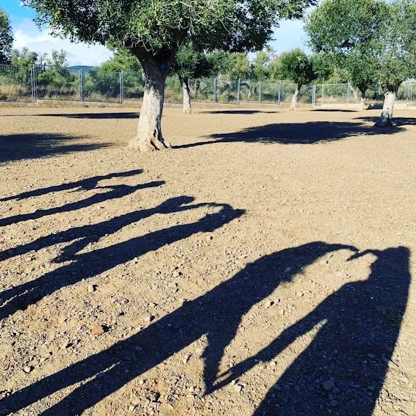 Escola Els Ganxets - Reus