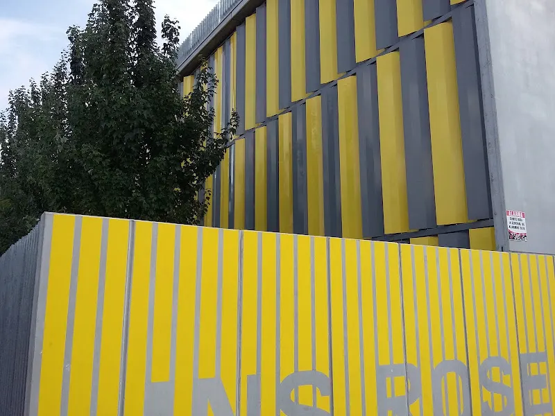 Institut Públic Roseta Mauri
