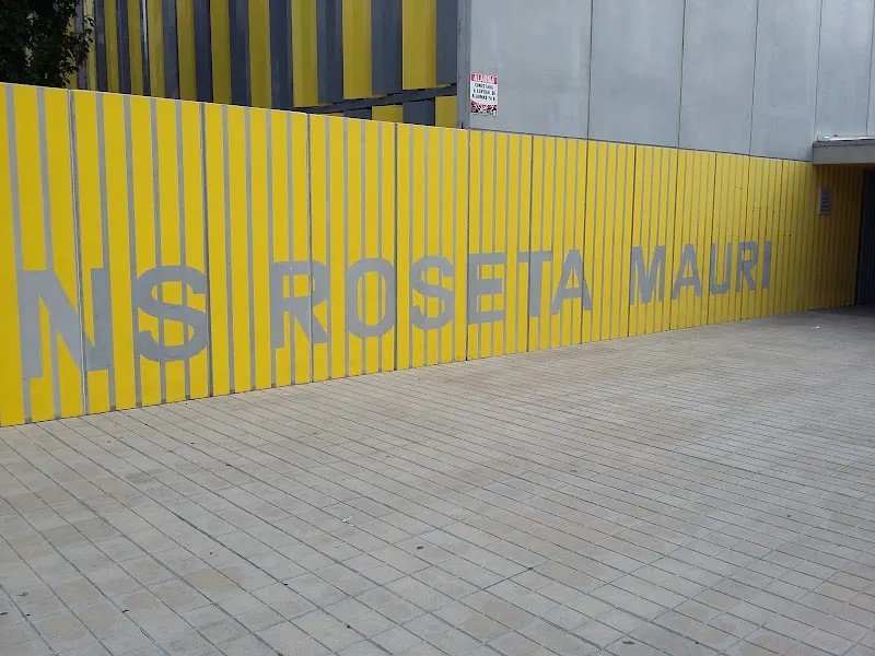 Institut Públic Roseta Mauri - Instituto de secundaria en Reus - foto 2