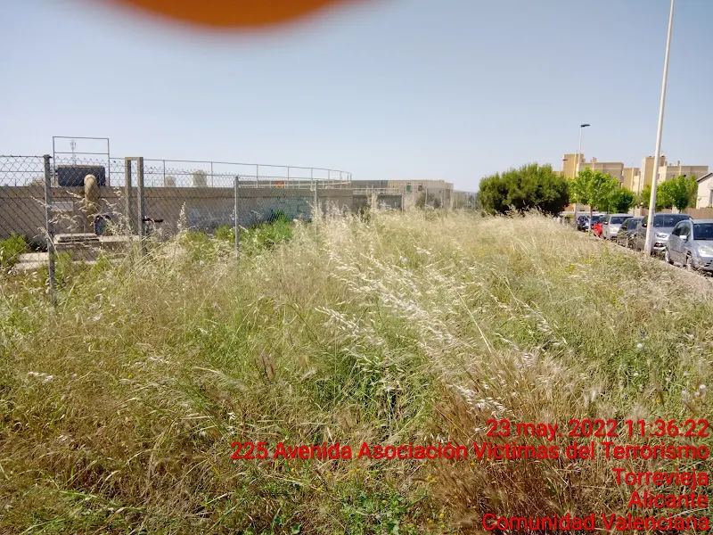 IES Número 1 - Libertas - Instituto de secundaria en Torrevieja - foto 2