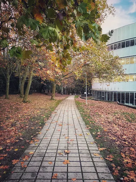 Escuela Politécnica Superior de Ingeniería - USC - Lugo