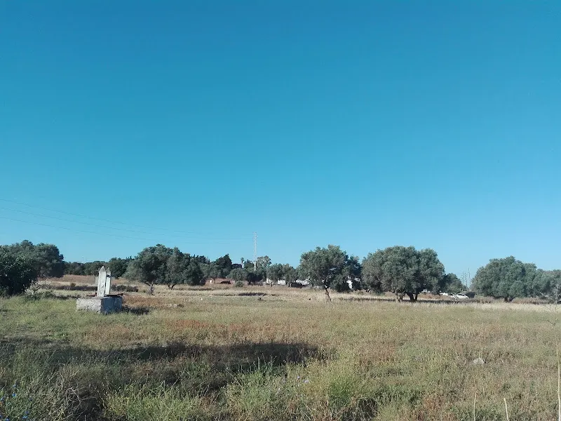 CEIP Camposoto - San Fernando