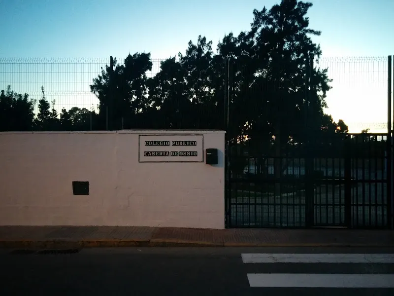 Centro De Educación Infantil Y Primaria Casería De Ossio - Colegio público en San Fernando - foto 2