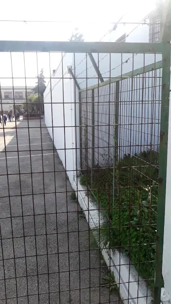 Instituto de Educación Secundaria Ies Wenceslao Benítez - Instituto de secundaria en San Fernando - foto 2