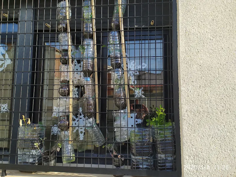 Colegio Paideuterion Concertado Sección Bilingüe