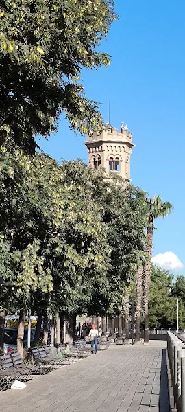 Escola pública CEIP Torre de la Miranda - Centro educativo en Cornellà de Llobregat - foto 2