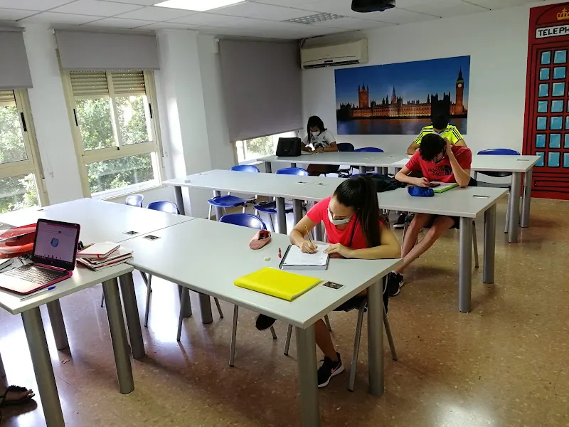 Centro de Estudios Miguel Hernández - CEMH - Academia de idiomas en Orihuela - foto 2