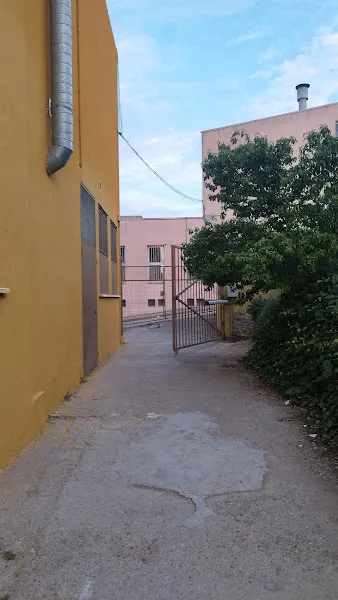 Instituto Joaquim Rubió i Ors
