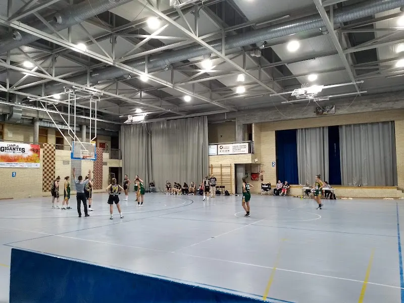Instituto Veritas - Colegio concertado en Pozuelo de Alarcón - foto 2