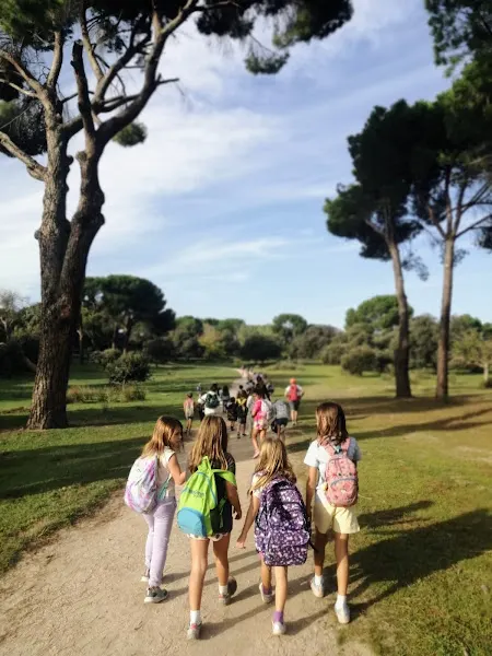 Mayrit Escuela Activa - Colegio privado en Pozuelo de Alarcón - foto 2