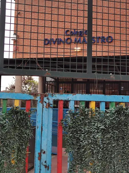 CEIP Divino Maestro