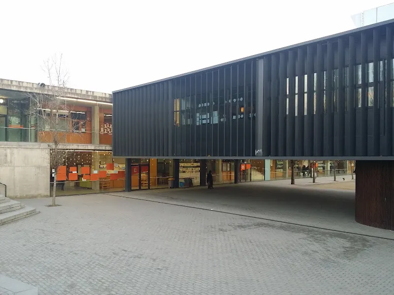 Escola Thau Sant Cugat - Colegio concertado en Sant Cugat del Vallès - foto 2