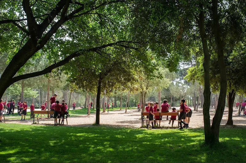 Viaró Global School - Sant Cugat del Vallès