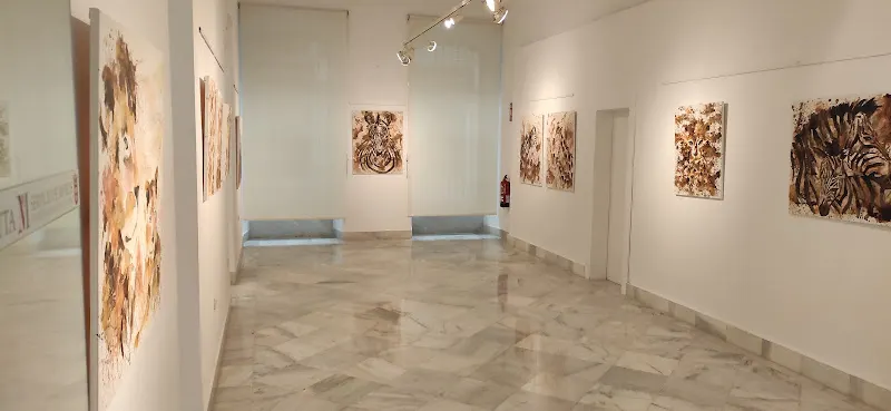 Instituto de Estudios Ceutíes - Ceuta