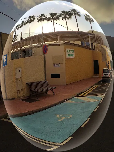 CEIP Óscar Domínguez - Colegio público en Arona - foto 2
