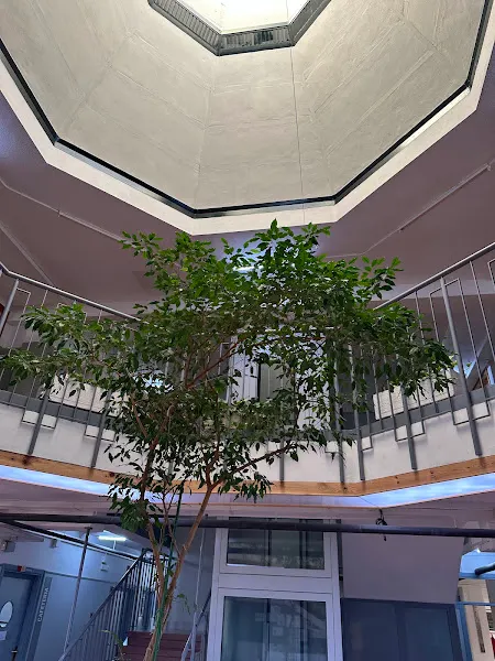 Instituto de Formación Profesional María de Zayas y Sotomayor en Majadahonda
