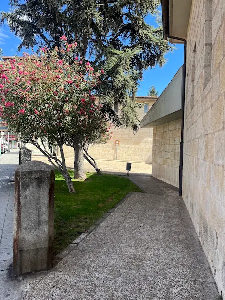 UNED Zamora - Zamora