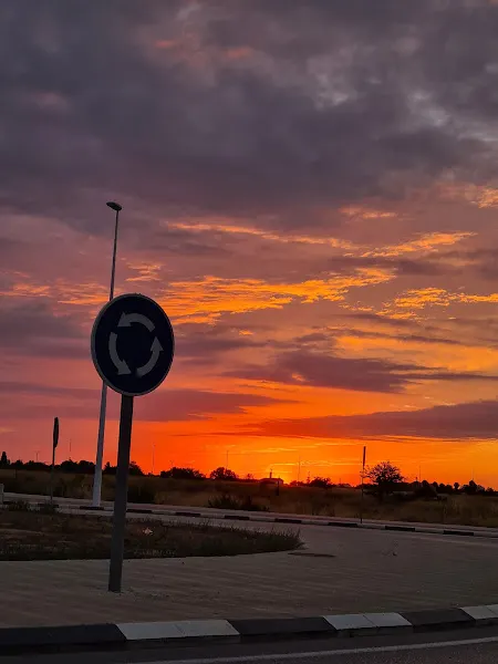IES Camp de Morvedre - Sagunto
