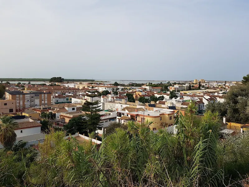 CEIP El Pino