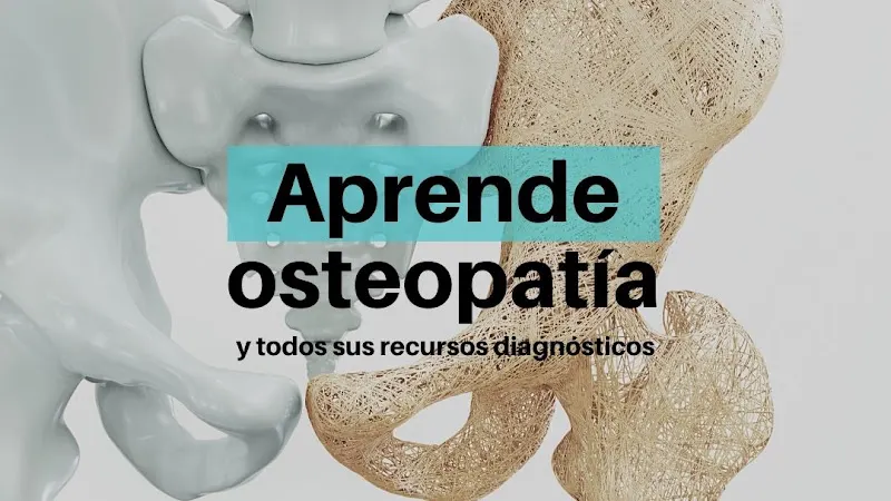 Escuela de Osteopatía de Madrid - EOM Murcia - Molina de Segura