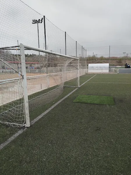 Valdemoro Club de Futbol