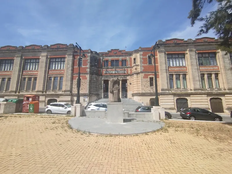 Escuela Municipal Bellas Artes Alcoy - Alcoy