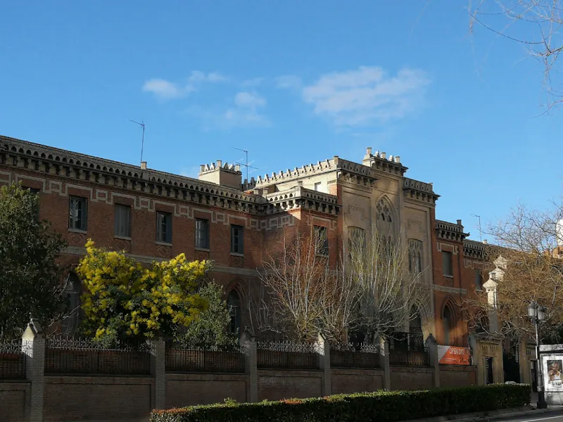 Colegio Internacional G. Nicoli - Colegio bilingüe en Madrid - foto 2
