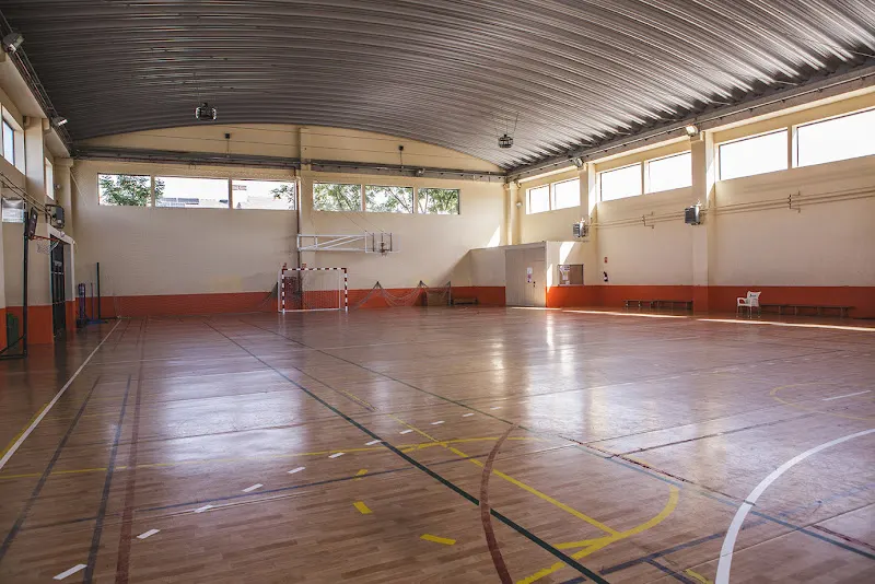 Colegio Litterator - Colegio concertado en Pau - foto 3