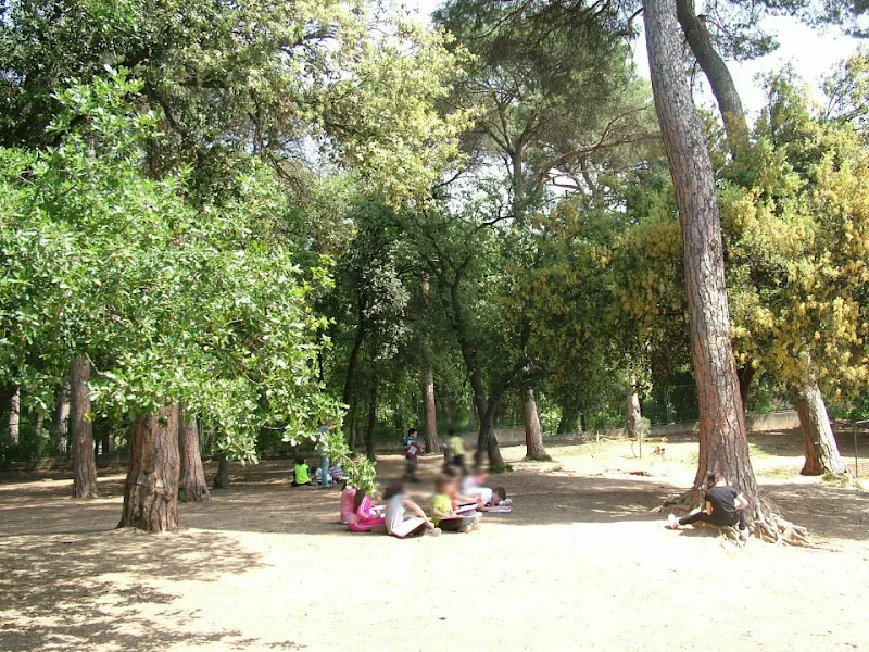 Escuela del Bosque - Escuela de primaria en Mollet del Vallès - foto 2