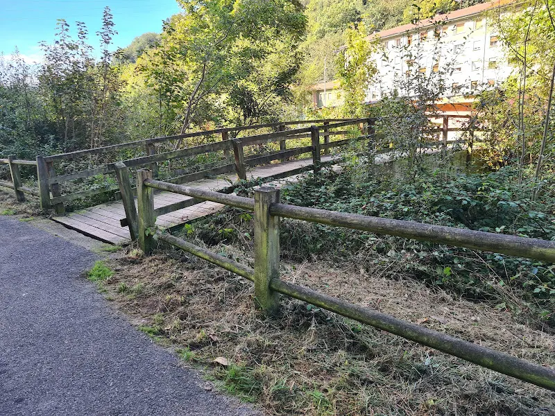 CP Rioturbio - Mieres