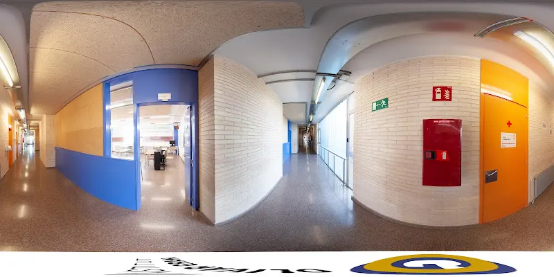 Instituto Público Olivar Gran - Figueres