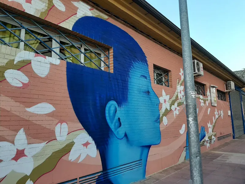 Centro de Desarrollo Infantil y Atención Temprana