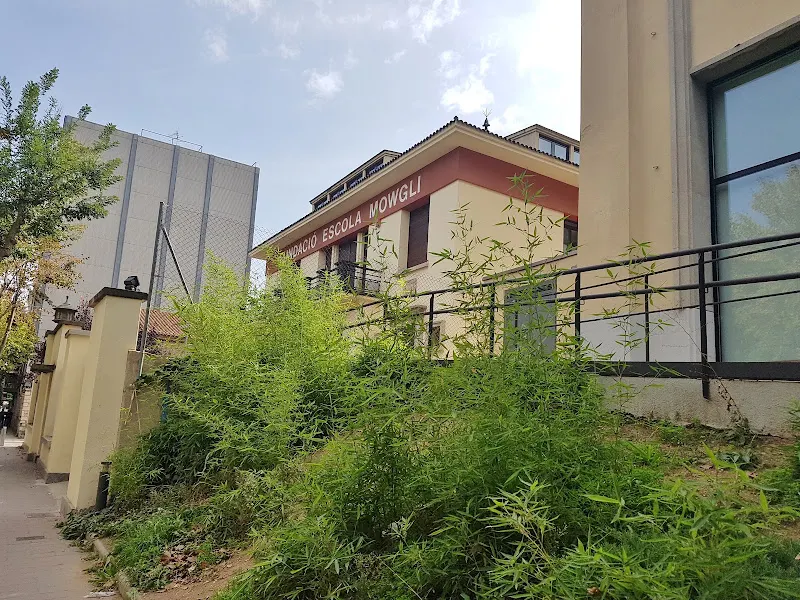 Escuela Mowgli
