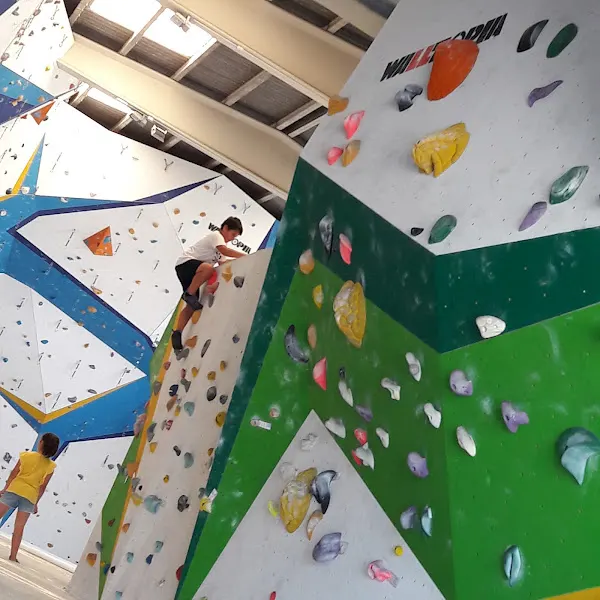 La Bauma - Escola d'Escalada - Gimnasio con rocódromo en Vilafranca del Penedes - foto 3