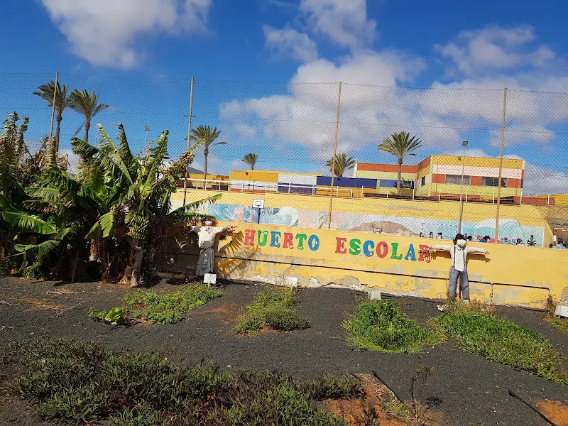 Colegio Público Francisco Navarro Artiles - Puerto del Rosario