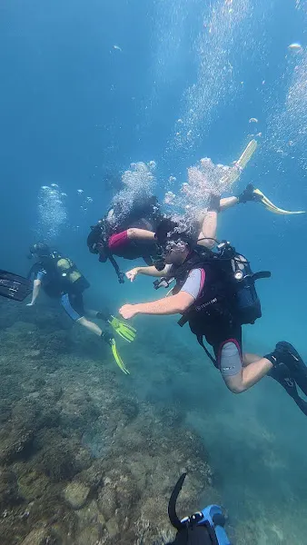 Dive Academy Santa Pola, bucear en Tabarca