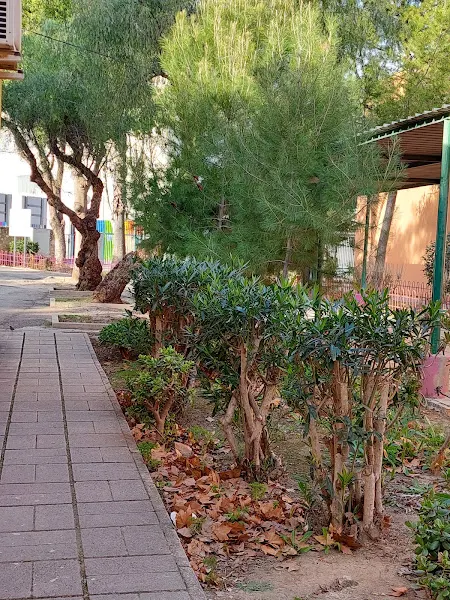 CEIP Félix Rodríguez de la Fuente - Manises