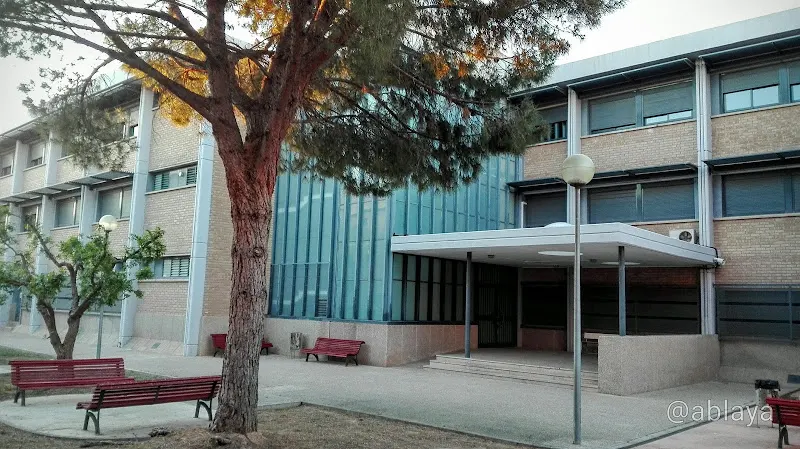 IES Pere Boïl