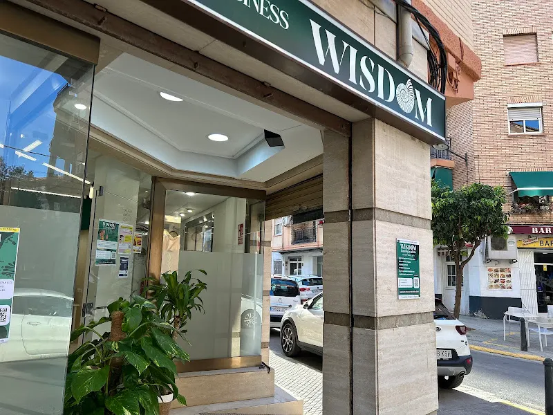 Wisdom Academy - Centro educativo en Alaquàs - foto 2