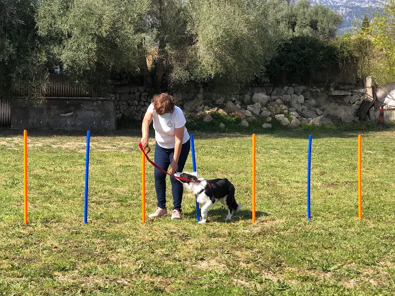 Incan Educación Canina - Inca