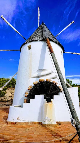 CEMA Los Molinos - Fundación Mediterráneo - Crevillent