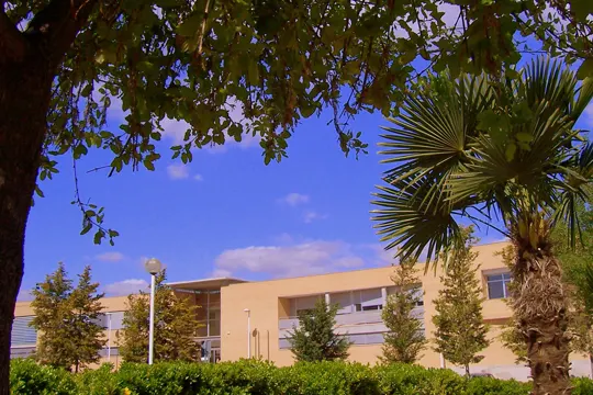 IES Bernat Guinovart - Instituto de secundaria en Algemesí - foto 3