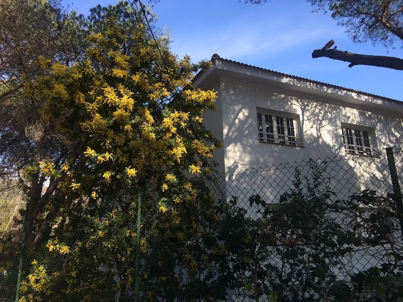Escuelas Belén (Betlem)
